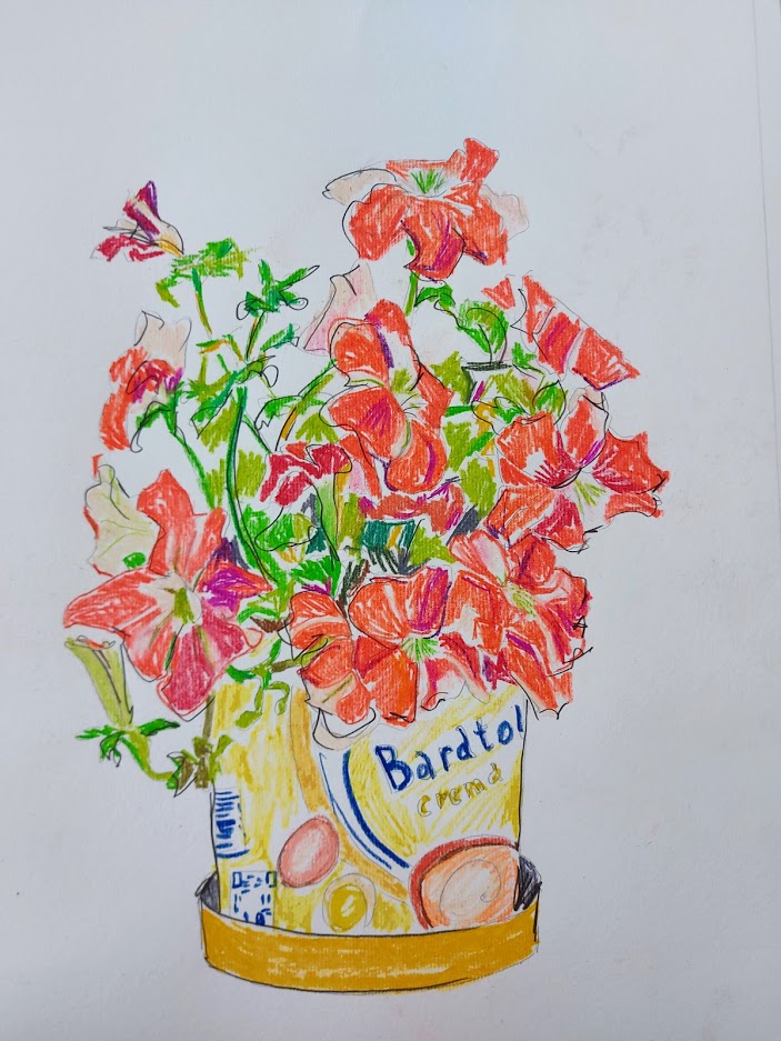 Red flowers petunia bouquet in plastic ice cream container Tamara Jare drawing on paper. Colored pencils and pencil sketch from the sketchbook picture. Contemporary still life drawing. Modern drawing art. Solored sketch from sketch pad.