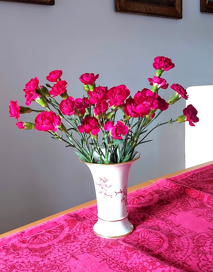pink carnations in white vase photo Tamara Jare